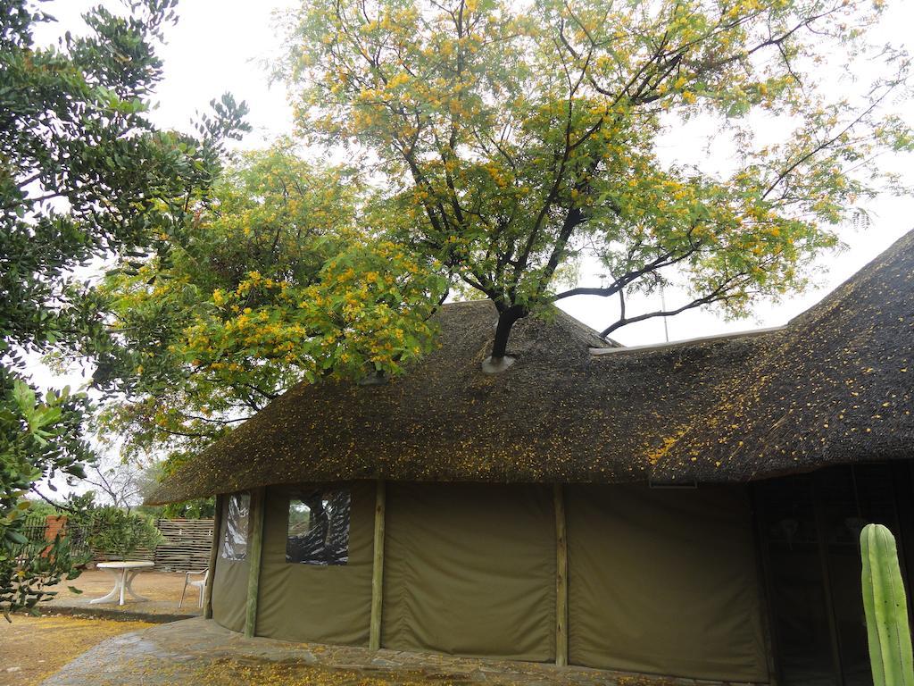 Airport Lodge Voigtland エクステリア 写真